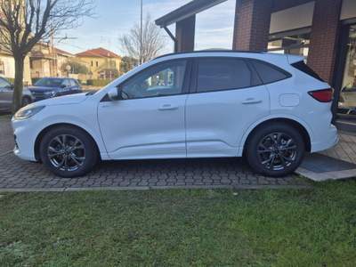 Ford Kuga 1.5 EcoBoost 150 CV 2WD ST-Line Bianco usata Limbiate