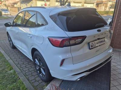 Ford Kuga 1.5 EcoBoost 150 CV 2WD ST-Line Bianco usata Limbiate