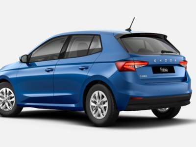 Skoda Fabia 1.0 MPI EVO 80 CV Selection usata San Martino Buon Albergo