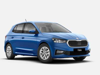 Skoda Fabia 1.0 MPI EVO 80 CV Selection usata San Martino Buon Albergo