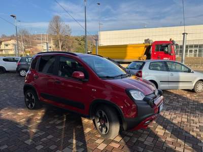 Fiat Panda 1.0 FireFly S&S Hybrid Rosso usata Guarene
