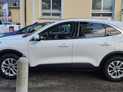 Ford Kuga 2.0 EcoBlue Hybrid 150 CV 2WD Titanium Business Bianco usata Varallo