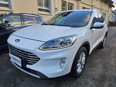 Ford Kuga 2.0 EcoBlue Hybrid 150 CV 2WD Titanium Business Bianco usata Varallo