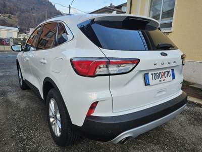 Ford Kuga 2.0 EcoBlue Hybrid 150 CV 2WD Titanium Business Bianco usata Varallo