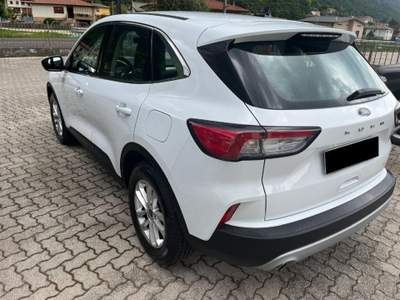 Ford Kuga 1.5 EcoBlue 120 CV 2WD Titanium Bianco usata Asiago