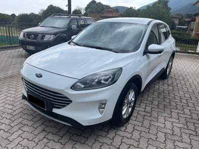 Ford Kuga 1.5 EcoBlue 120 CV 2WD Titanium Bianco usata Asiago