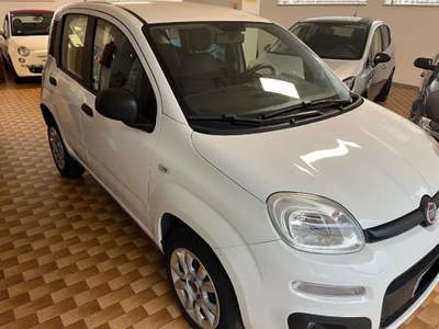 Fiat Panda 0.9 TwinAir Turbo Natural Power Lounge Bianco usata Asiago