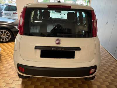 Fiat Panda 0.9 TwinAir Turbo Natural Power Lounge Bianco usata Asiago