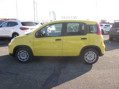 Fiat Pandina 1.0 FireFly 65cv S&S 6m Hybrid Pop Giallo usata ROMA