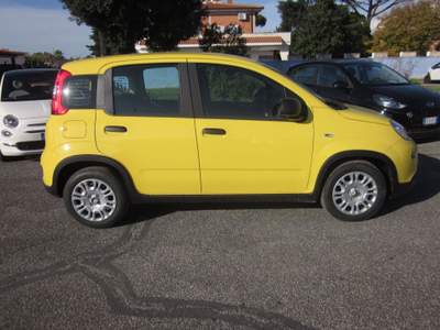 Fiat Pandina 1.0 FireFly 65cv S&S 6m Hybrid Pop Giallo usata ROMA