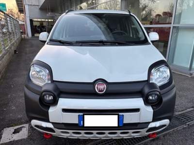 Fiat Panda 1.0 FireFly S&S Hybrid Bianco usata Cassino