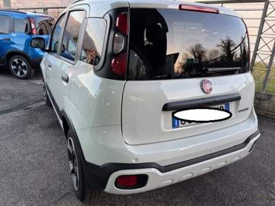 Fiat Panda 1.0 FireFly S&S Hybrid Bianco usata Cassino