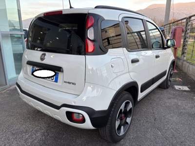 Fiat Panda 1.0 FireFly S&S Hybrid Bianco usata Cassino