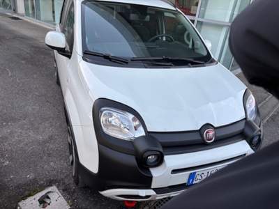 Fiat Panda 1.0 FireFly S&S Hybrid Bianco usata Cassino