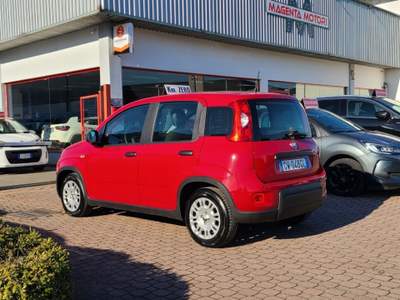 Fiat Panda 1.0 FireFly S&S Hybrid Pandina KM-ZERO,PROMO* Rosso usata Magenta