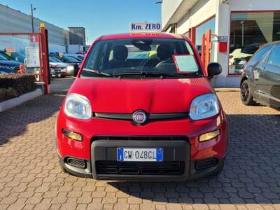 Fiat Panda 1.0 FireFly S&S Hybrid Pandina KM-ZERO,PROMO* Rosso usata Magenta