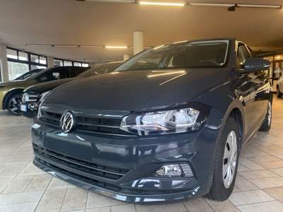 Volkswagen Polo 1.0 EVO 80 CV 5p. Comfortline BlueMotion Technolog Grigio usata Briga Novarese