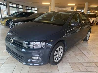 Volkswagen Polo 1.0 EVO 80 CV 5p. Comfortline BlueMotion Technolog Grigio usata Briga Novarese