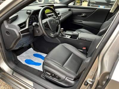 Lexus ES ES Hybrid Executive Grigio usata Abano Terme