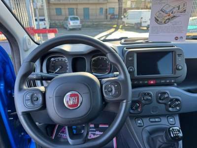 Fiat Panda 1.0 FireFly S&S Hybrid Blu/Azzurro usata Cassino