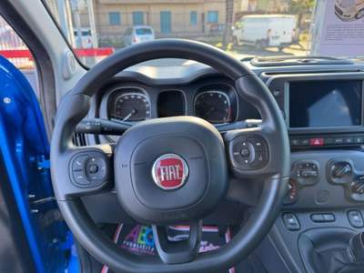 Fiat Panda 1.0 FireFly S&S Hybrid Blu/Azzurro usata Cassino