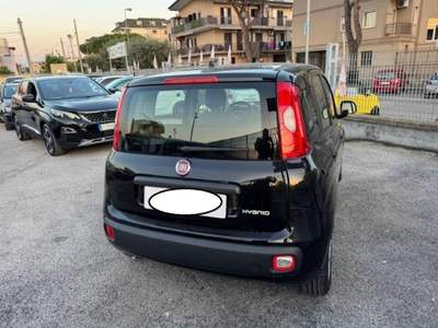 Fiat Panda 1.0 FireFly S&S Hybrid Nero usata Cassino