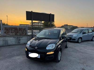 Fiat Panda 1.0 FireFly S&S Hybrid Nero usata Cassino