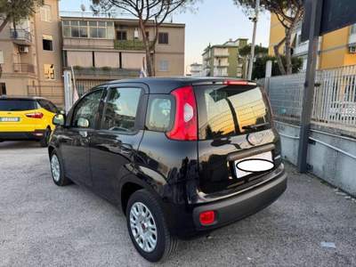 Fiat Panda 1.0 FireFly S&S Hybrid Nero usata Cassino