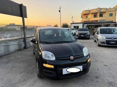 Fiat Panda 1.0 FireFly S&S Hybrid Nero usata Cassino