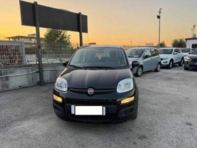Fiat Panda 1.0 FireFly S&S Hybrid Nero usata Cassino