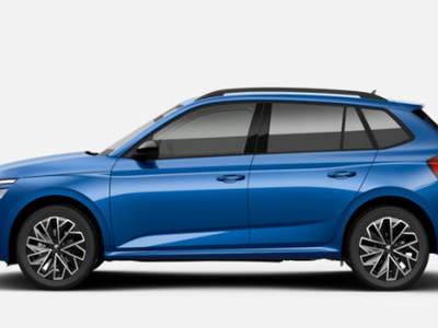 Skoda Kamiq 1.0 TSI 115 CV Black Dots usata San Martino Buon Albergo