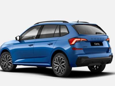 Skoda Kamiq 1.0 TSI 115 CV Black Dots usata San Martino Buon Albergo