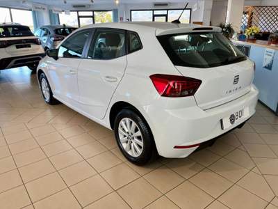Seat Ibiza 1.6 TDI 95 CV 5 porte Business Bianco usata Terralba