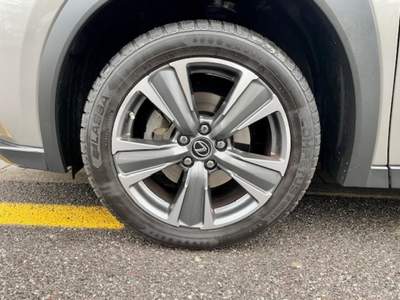 Lexus UX Full Electric PREMIUM, UFFICIALE, OK NEOPATENTATI, TAGLIANDATA Grigio usata Ponte San Pietro