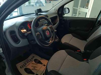 Fiat Panda 1.2 Benzina neopatentati Grigio usata Mondolfo