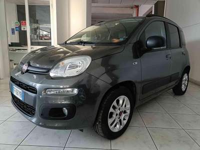 Fiat Panda 1.2 Benzina neopatentati Grigio usata Mondolfo