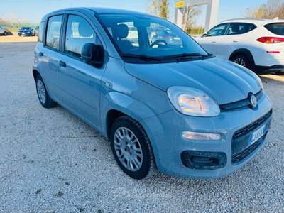 Fiat Panda Panda 1.0 GSE Hybrid Grigio usata Venezia