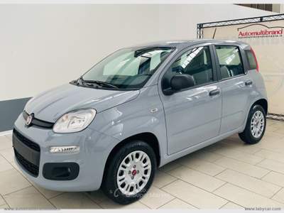 Fiat Panda Panda 1.0 GSE Hybrid Grigio usata Venezia
