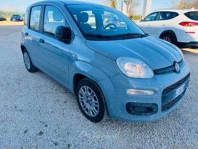 Fiat Panda Panda 1.0 GSE Hybrid Grigio usata Venezia