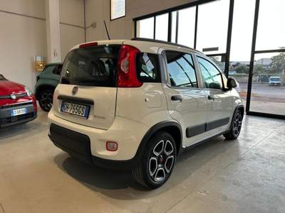 Fiat Panda 1.0 FireFly S&S Hybrid City Life Bianco usata Valledoria