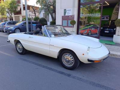 Alfa Romeo Spider 1.6 Junior TARGA ORO Bianco usata Putignano