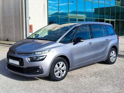 Citroen C4 1.5 BlueHDi 130cv EAT8 7 POSTI Grigio usata San Salvatore Telesino