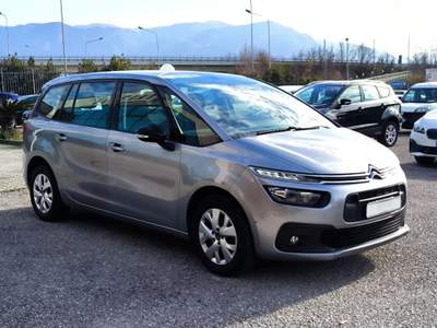 Citroen C4 1.5 BlueHDi 130cv EAT8 7 POSTI Grigio usata San Salvatore Telesino