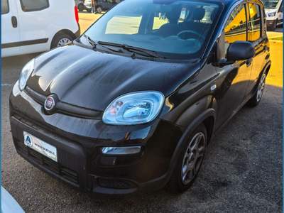 Fiat Panda 1.0 FireFly S&S Hybrid Nero usata Sassari