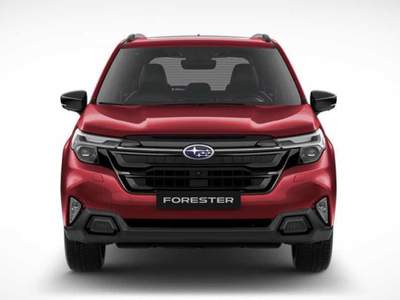 Subaru Forester 2.0 e-Boxer MHEV CVT Lineartronic Free Rosso usata Padova