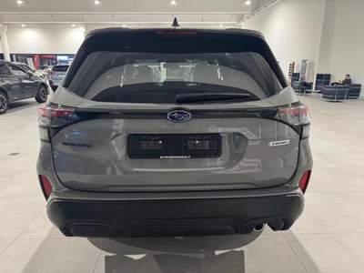 Subaru Forester 2.0 e-Boxer MHEV CVT Lineartronic Free Grigio usata Padova