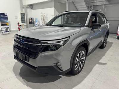 Subaru Forester 2.0 e-Boxer MHEV CVT Lineartronic Free Grigio usata Padova