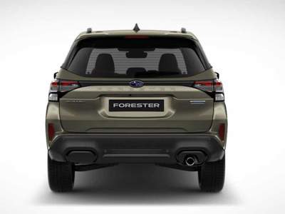 Subaru Forester 2.0 e-Boxer MHEV CVT Lineartronic Premium Bianco usata Padova