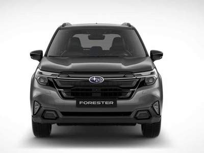 Subaru Forester 2.0 e-Boxer MHEV CVT Lineartronic Premium Grigio usata Padova