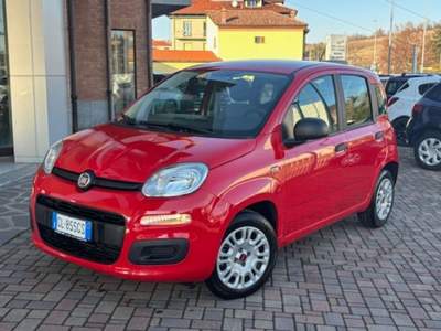 Fiat Panda 1.0 FireFly S&S Hybrid Rosso usata Guarene